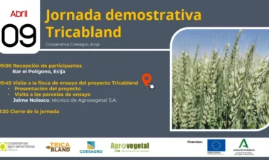 090425_Jornada_demostrativa_tricabland