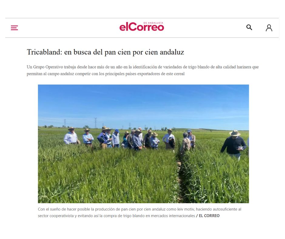 Tricabland: en busca del pan cien por cien andaluz